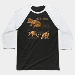 Slow Loris - Animal Facts Baseball T-Shirt